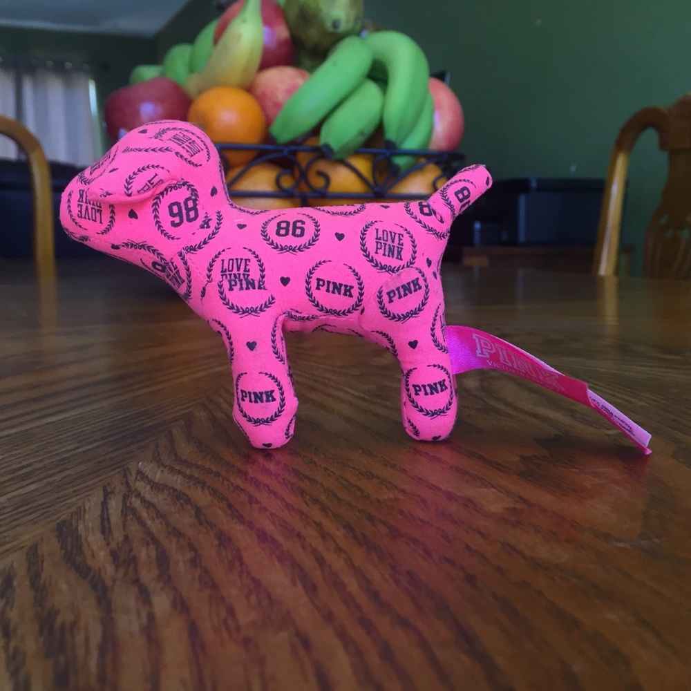 VS | Pink little dog